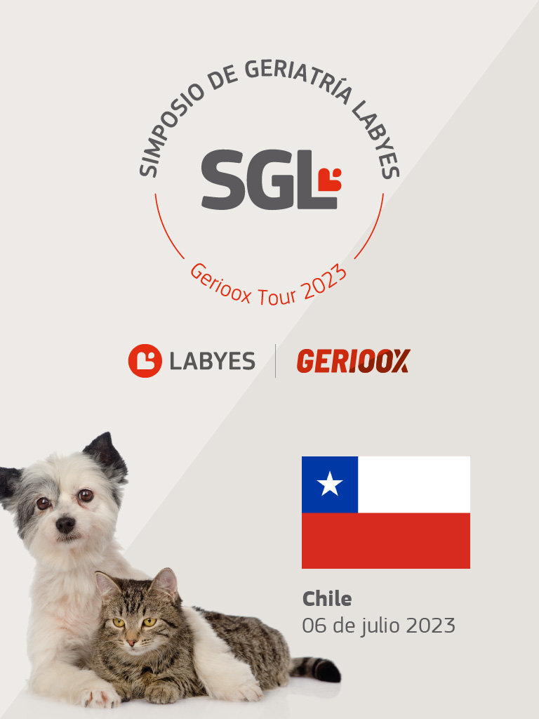 Slide – Simposio – Chile
