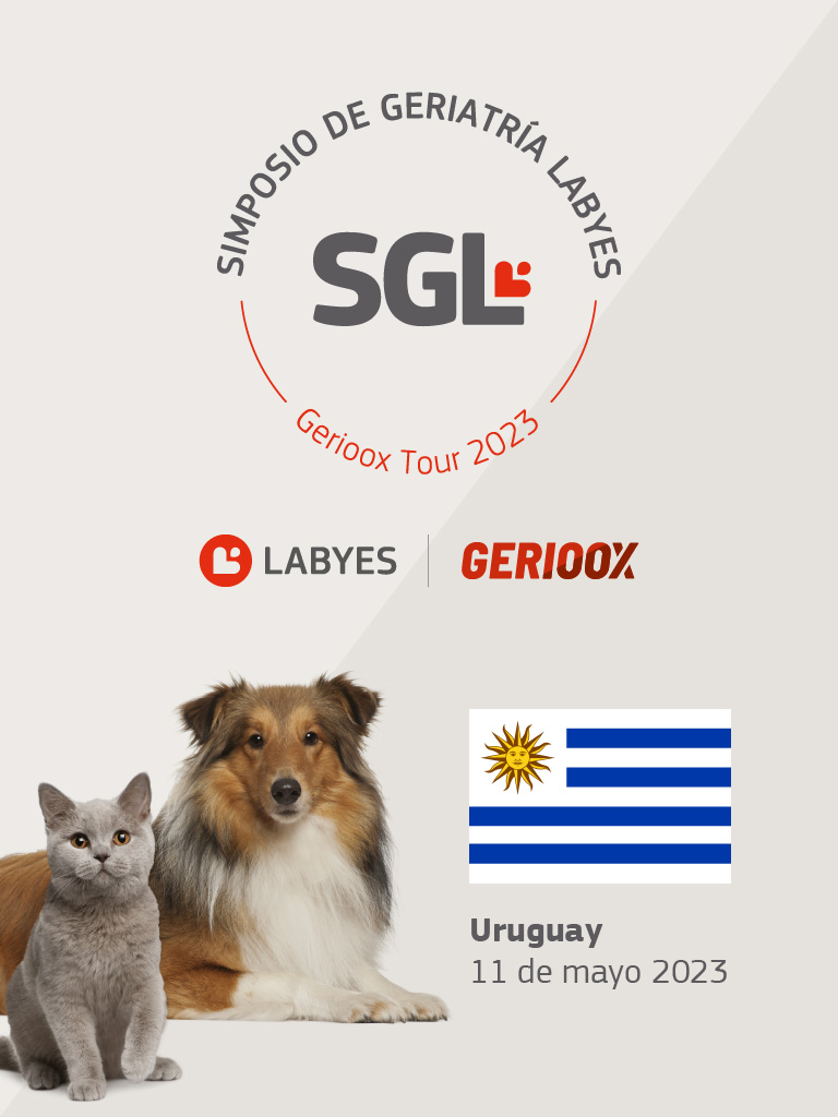 Slide – Simposio – Uruguay